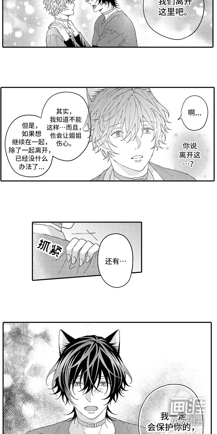 第14章：私奔