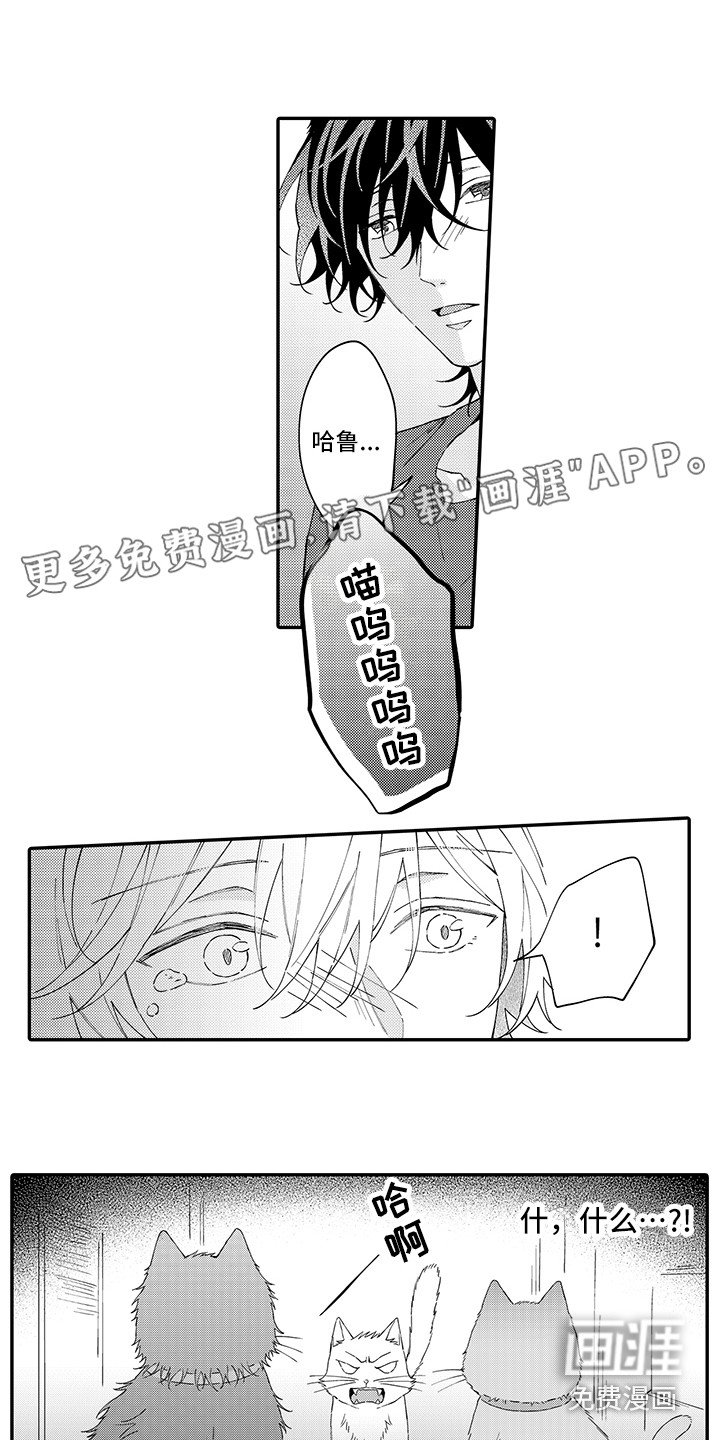 第15章：保护