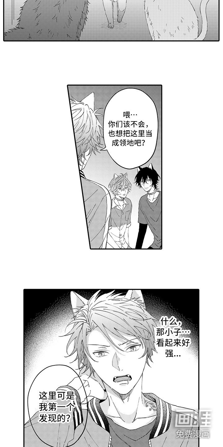 第15章：保护