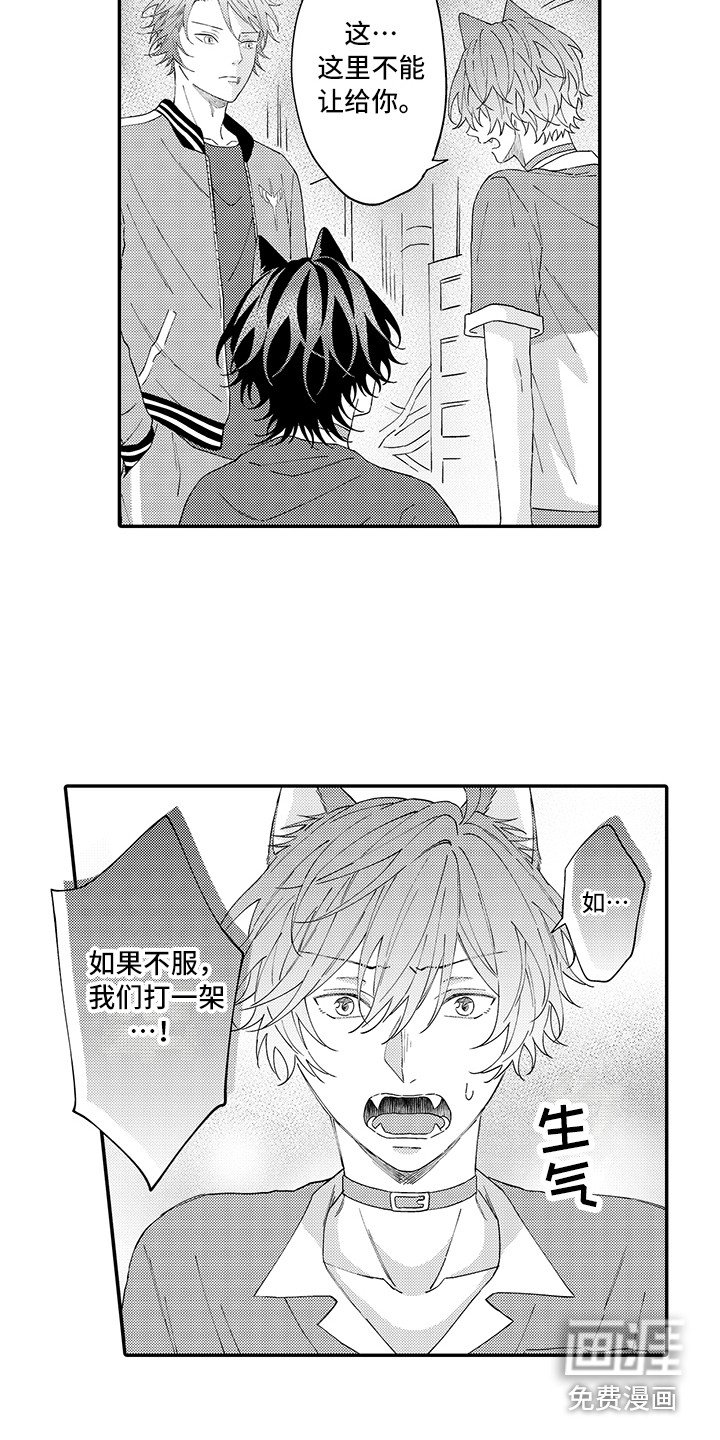 第15章：保护