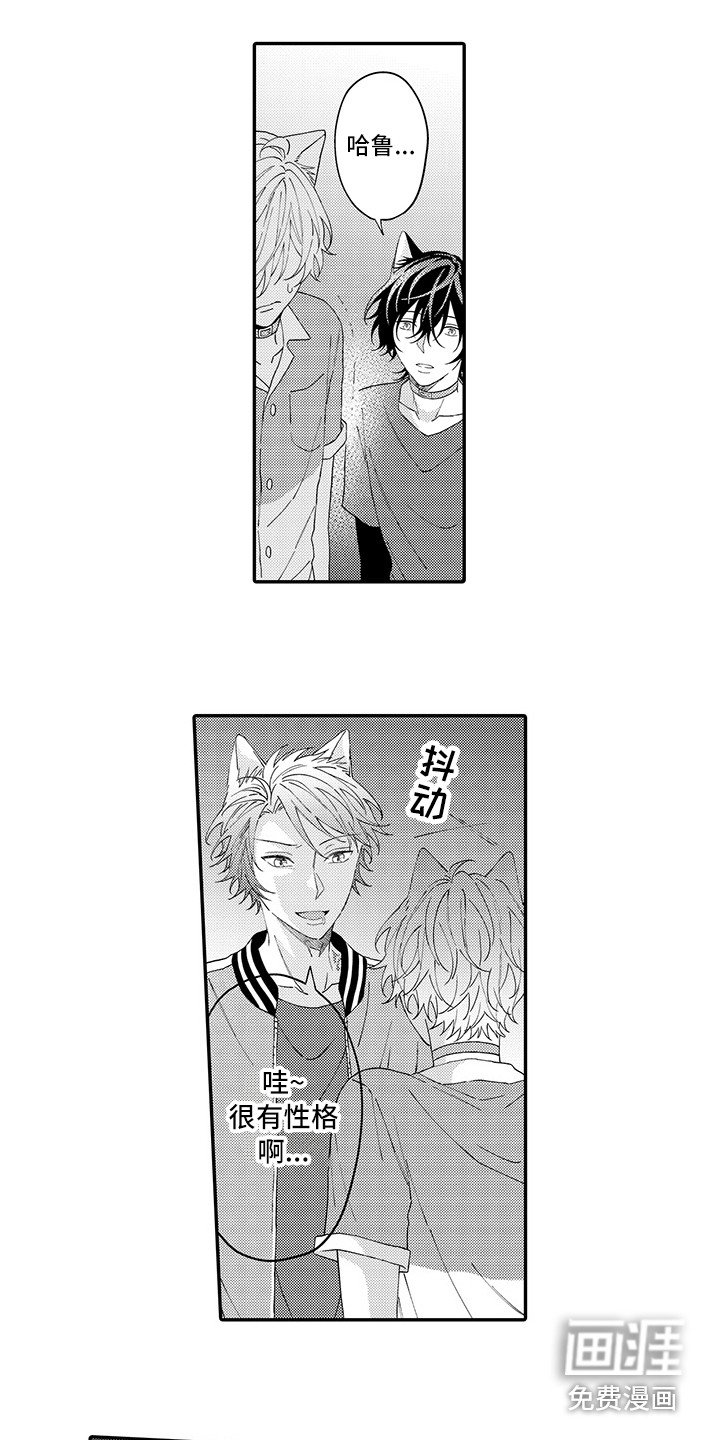 第15章：保护