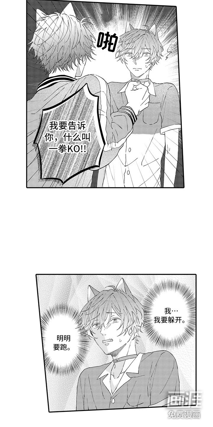 第15章：保护