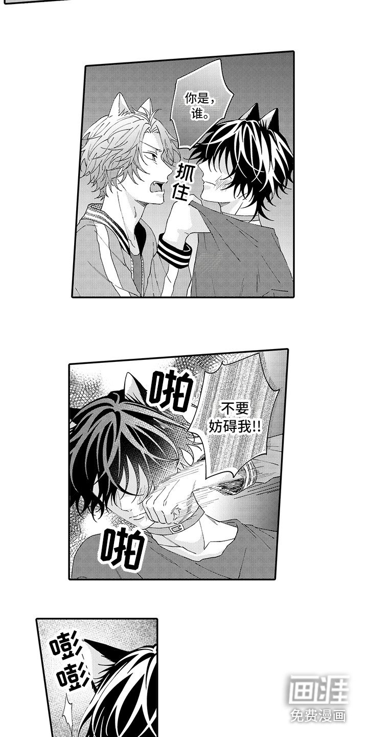 第15章：保护