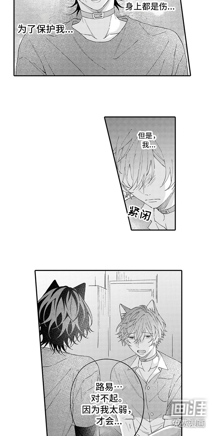 第16章：受伤了