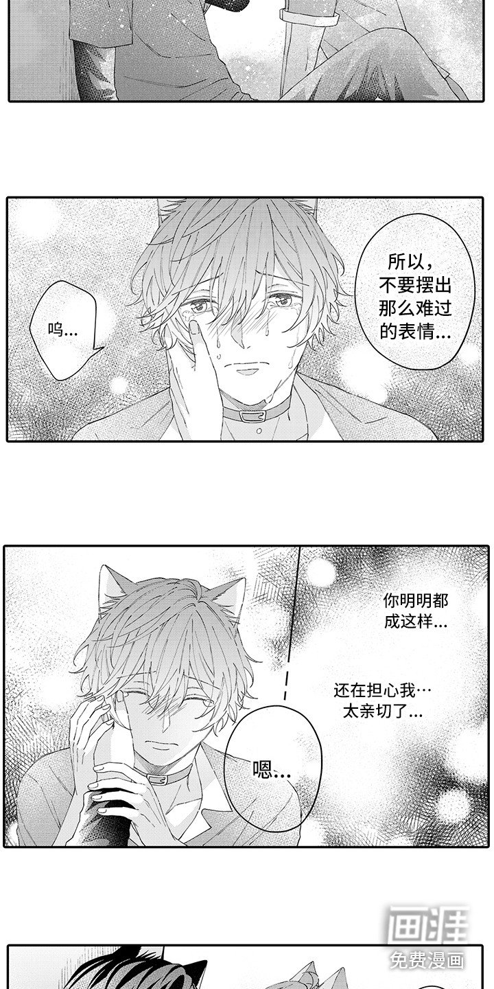 第16章：受伤了