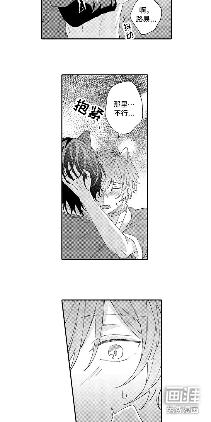 第16章：受伤了