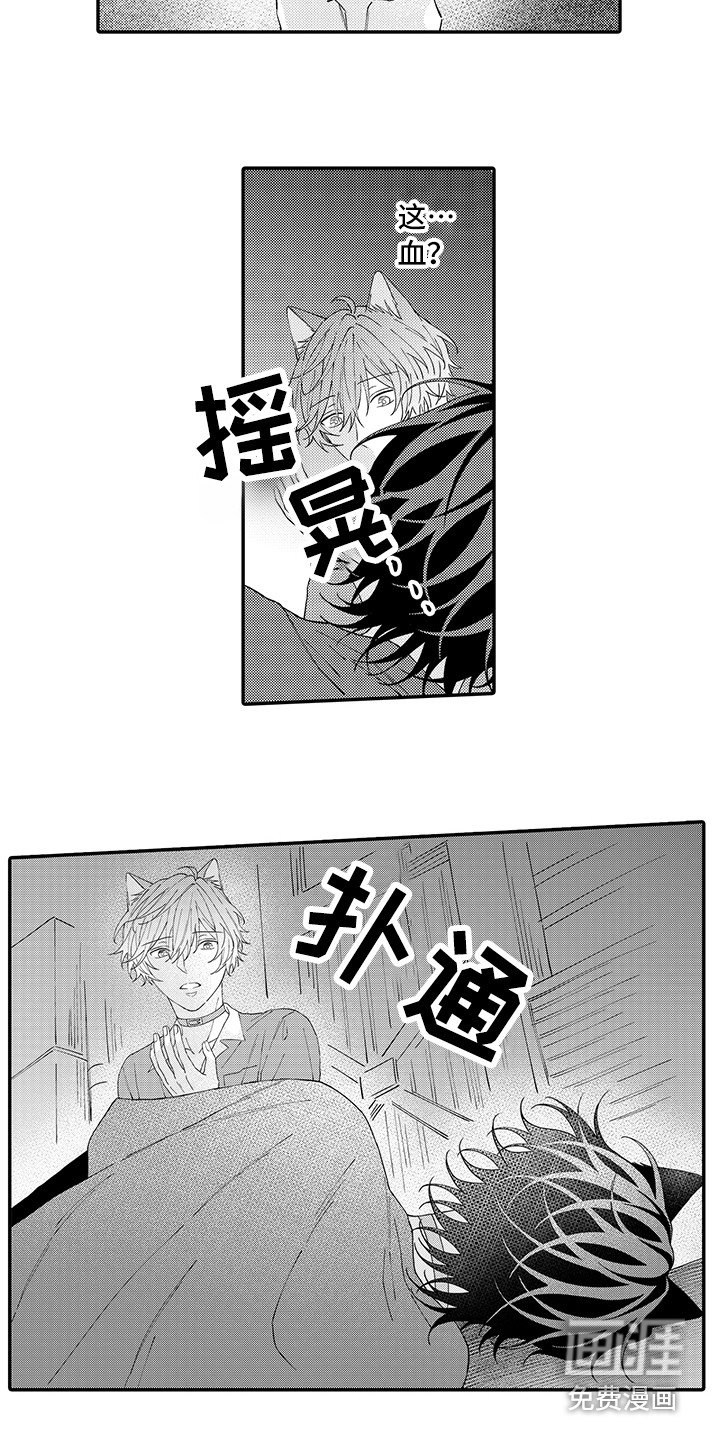 第16章：受伤了
