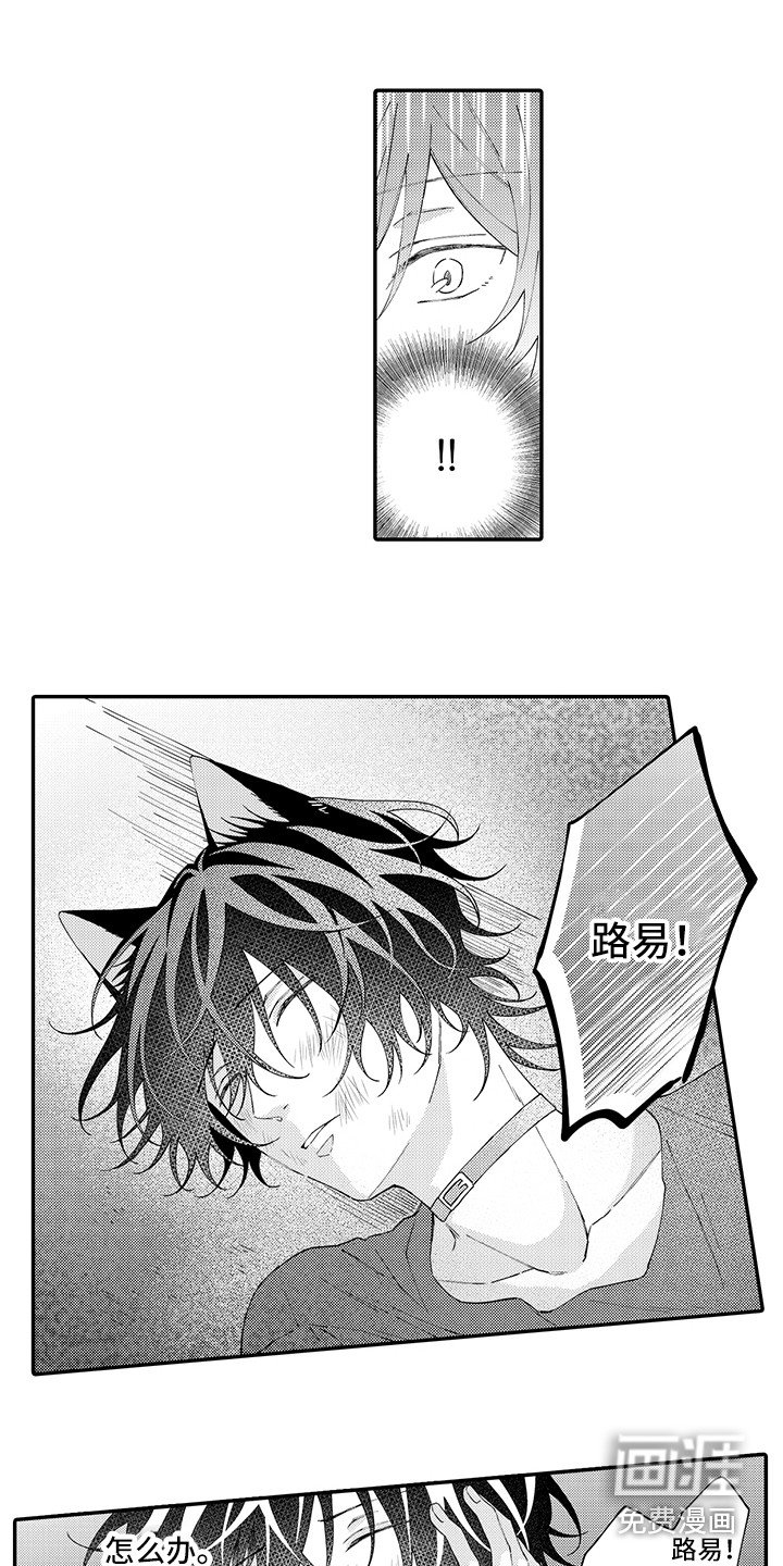 第16章：受伤了