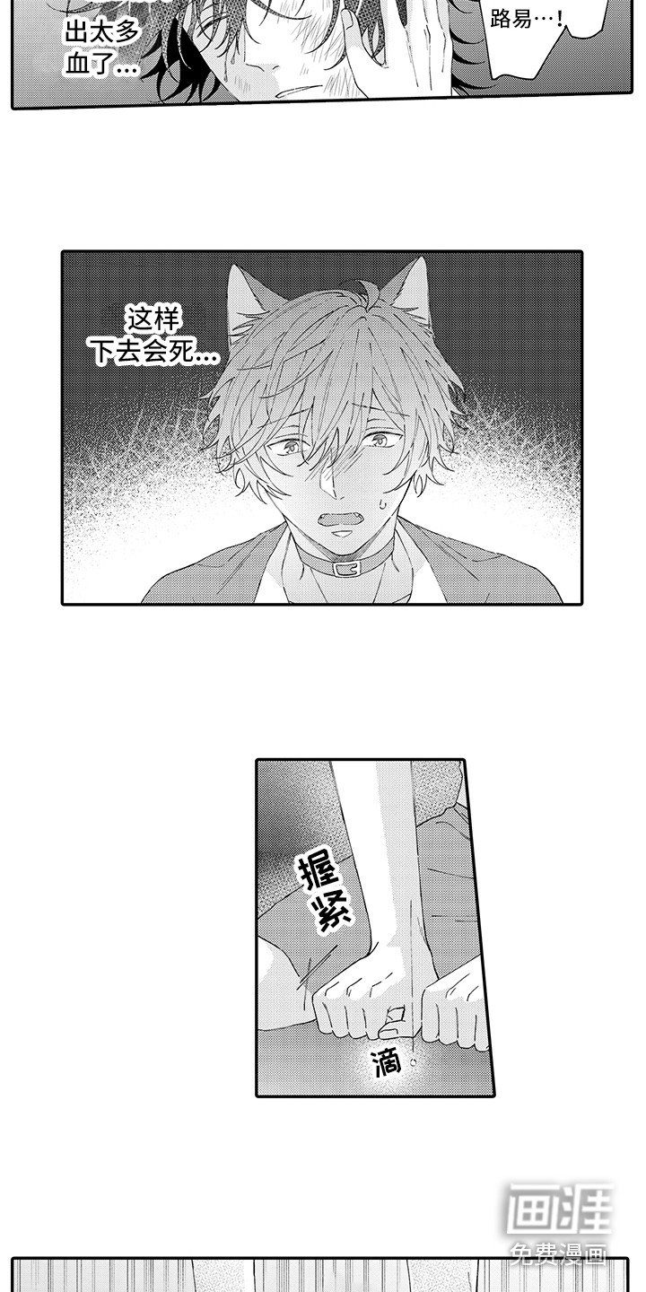第16章：受伤了