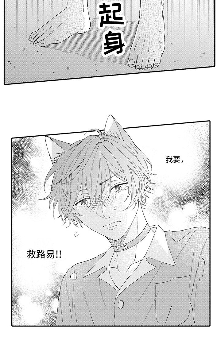第16章：受伤了