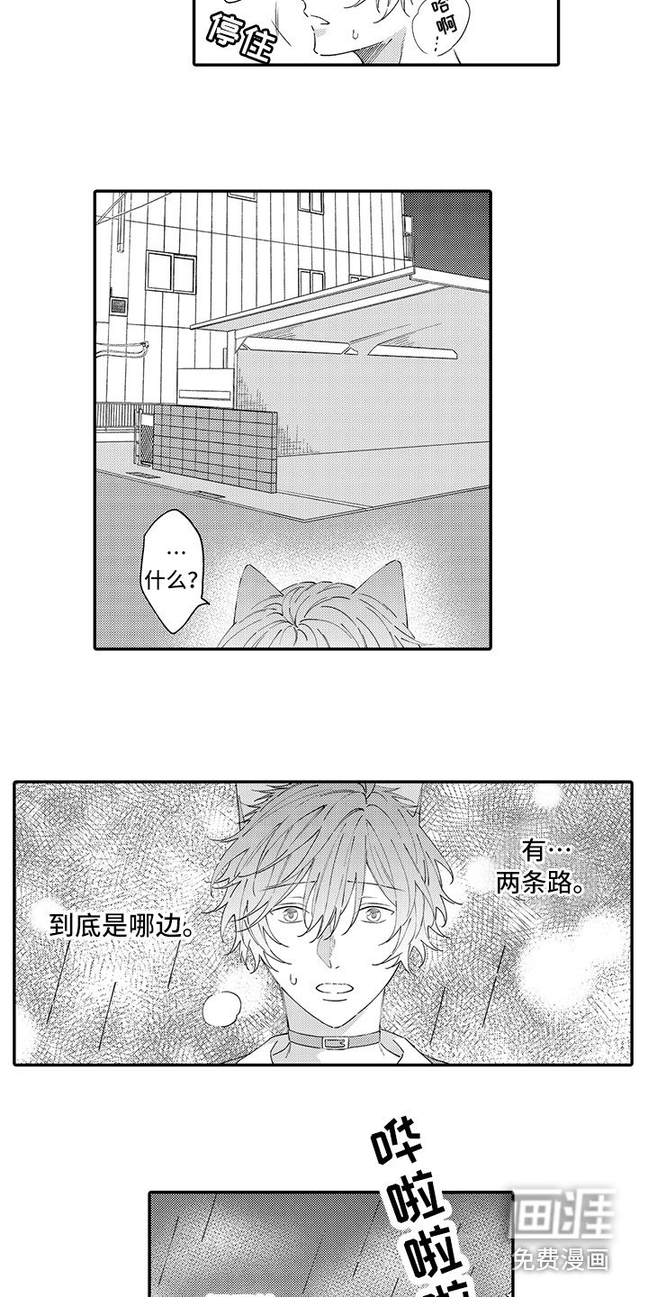 第17章：急切