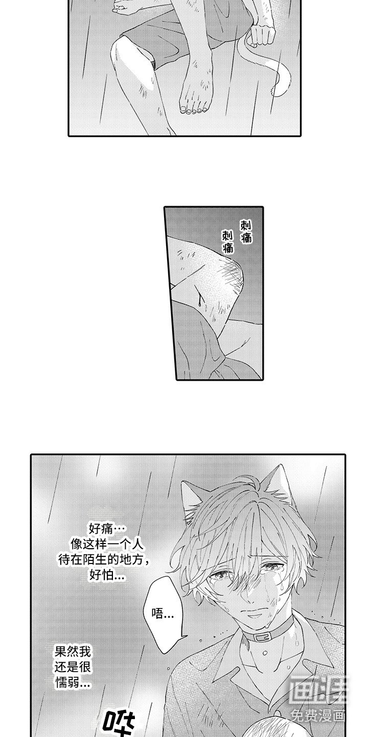 第17章：急切