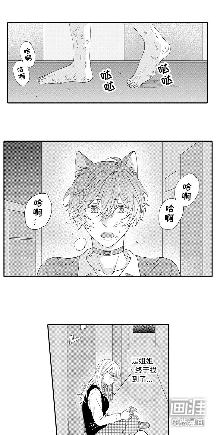 第17章：急切