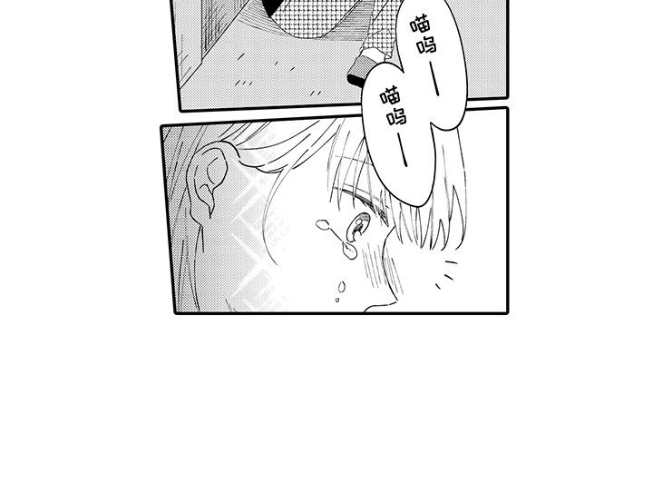 第17章：急切