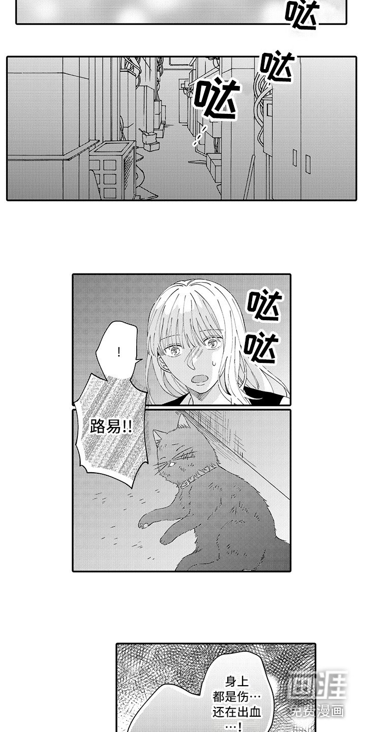 第18章：求救