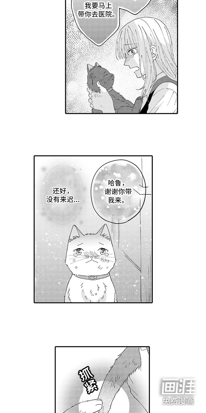 第18章：求救