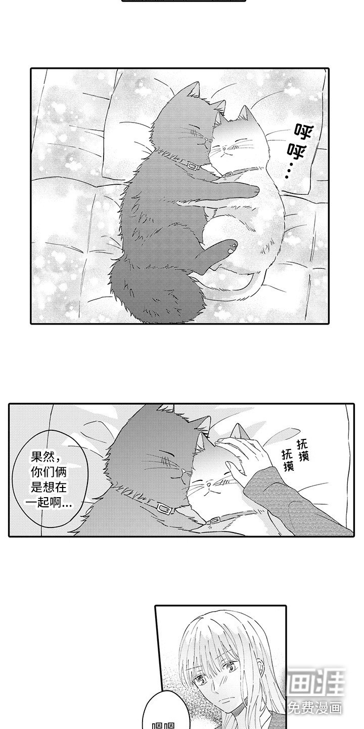 第19章：新家