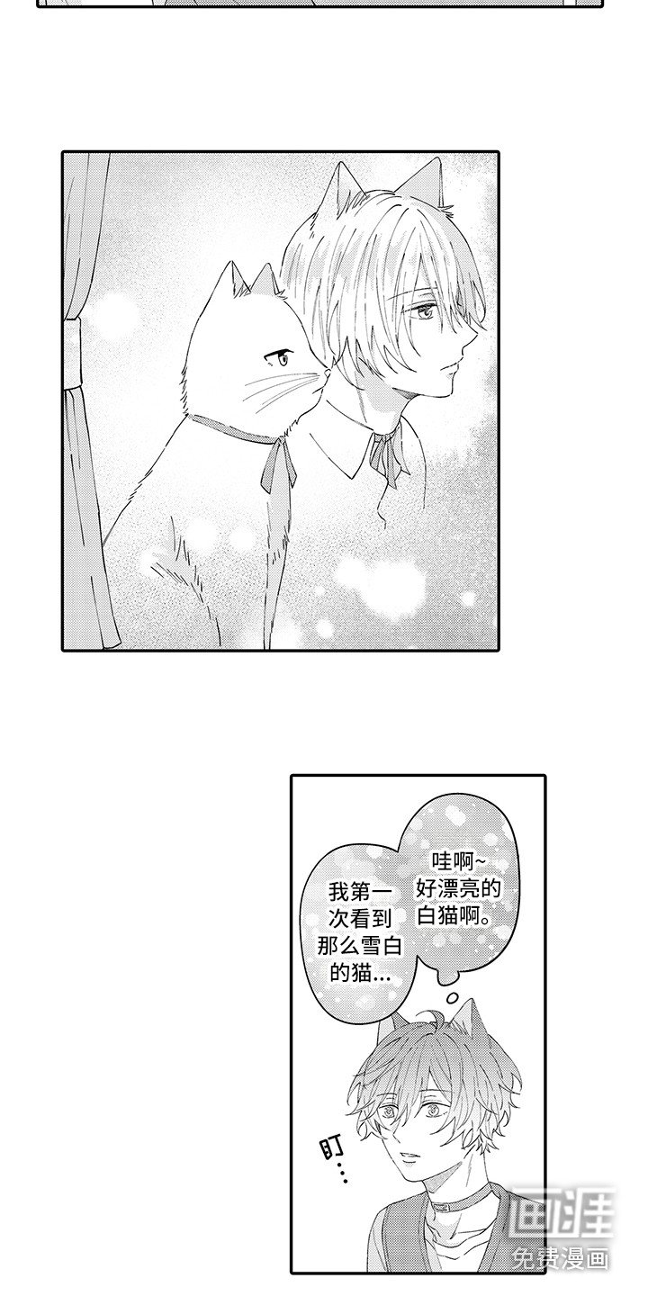 第20章：嫉妒
