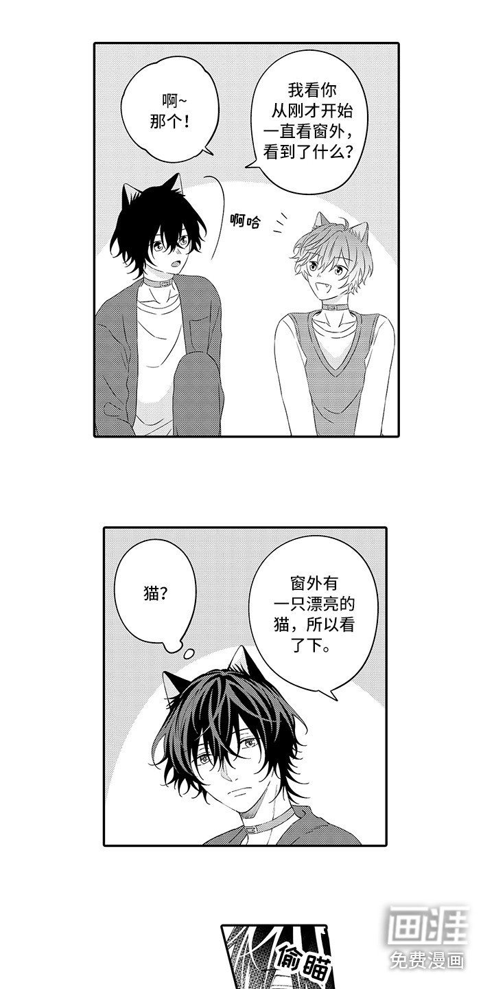 第20章：嫉妒