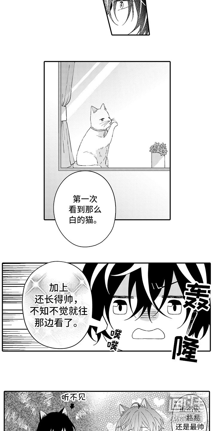 第20章：嫉妒