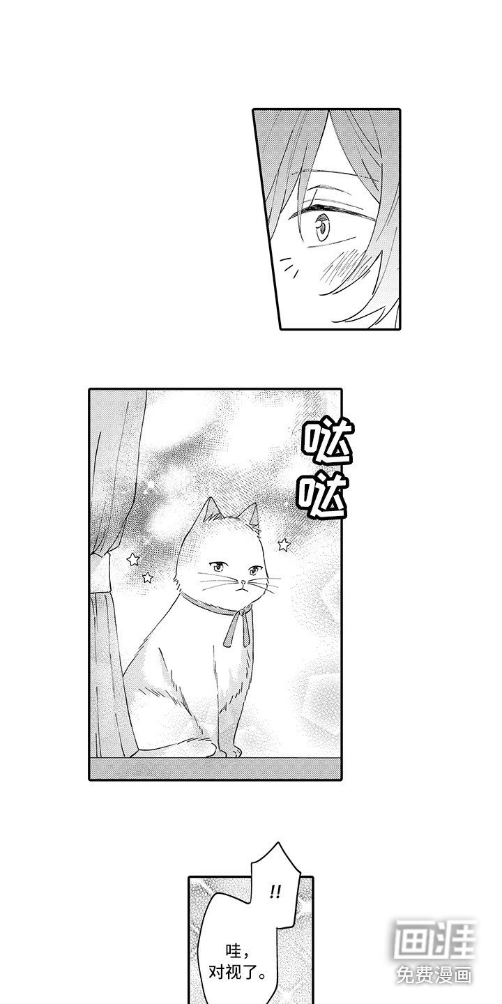 第20章：嫉妒