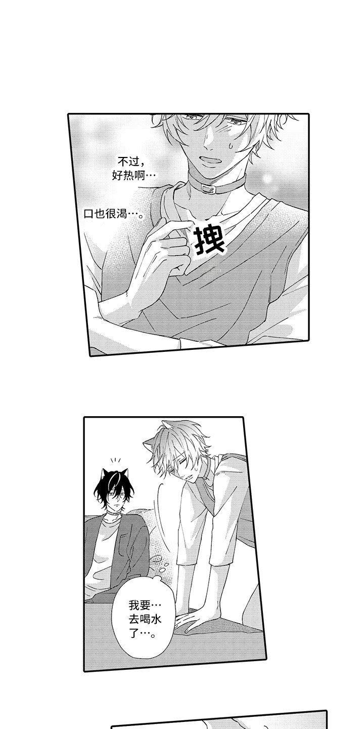 第3章：发烧