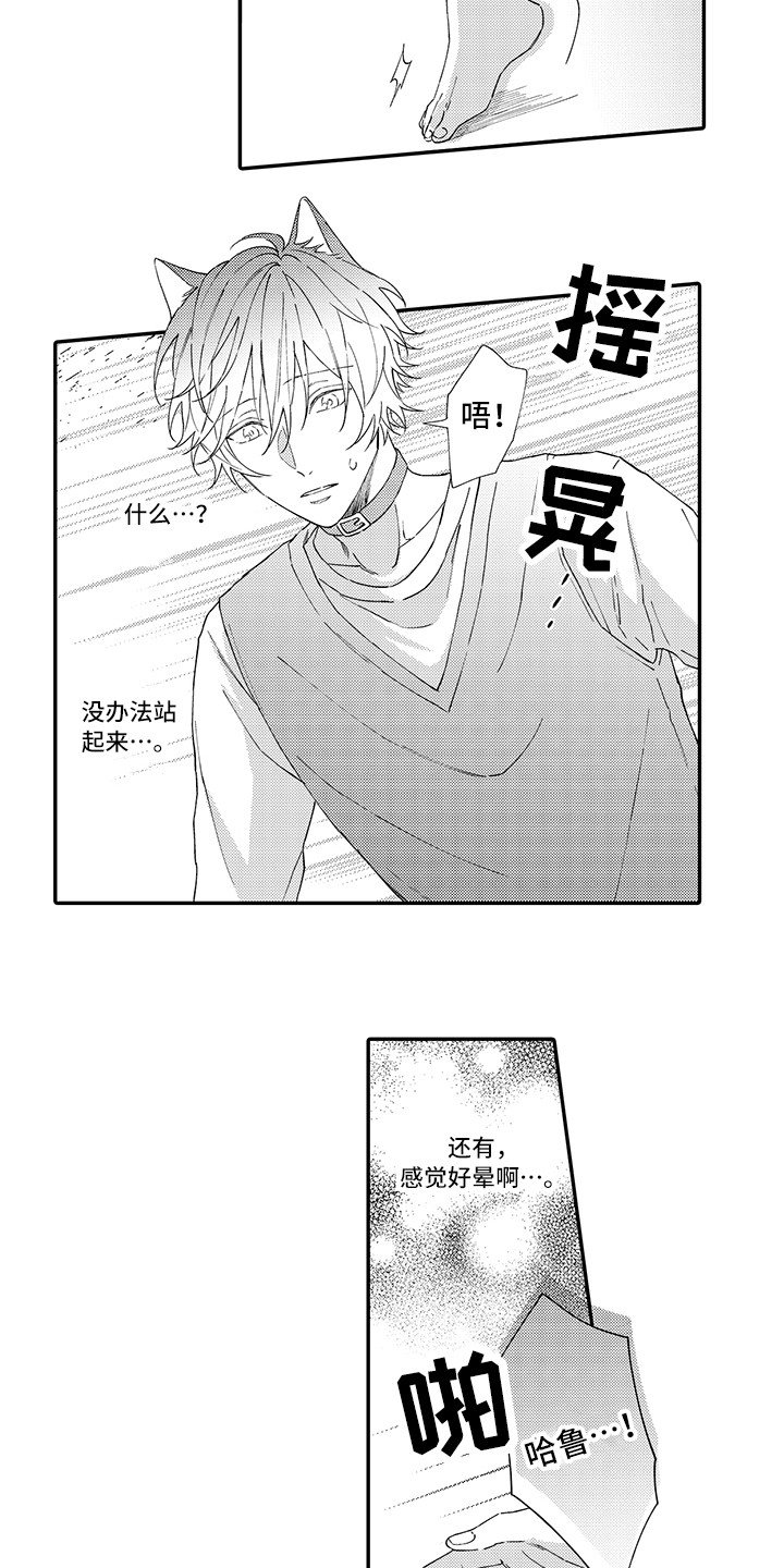 第3章：发烧