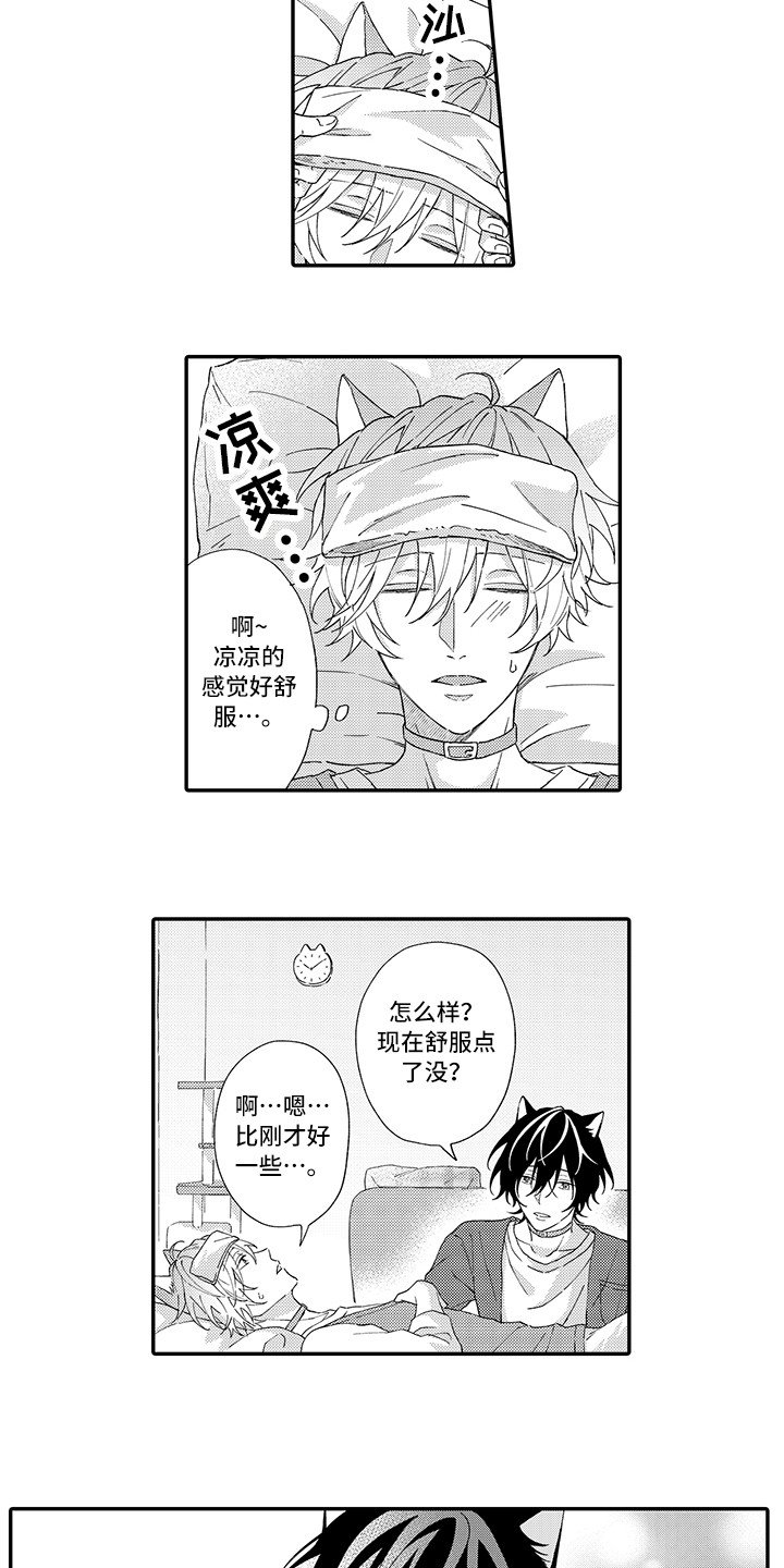 第3章：发烧