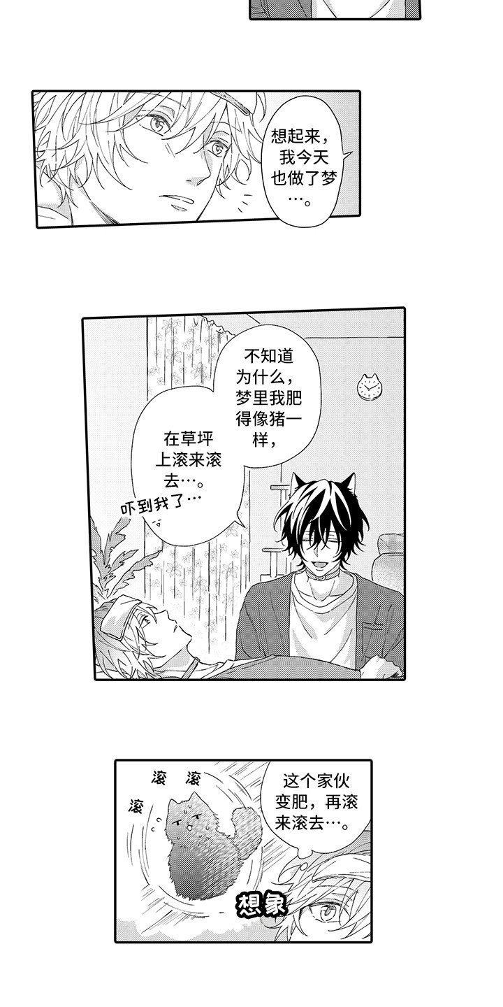 第3章：发烧