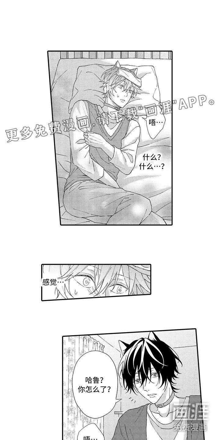 第4章：照顾