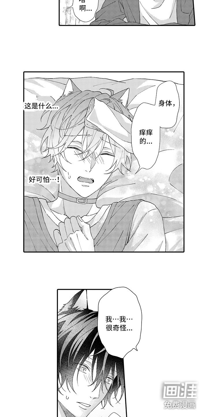 第4章：照顾