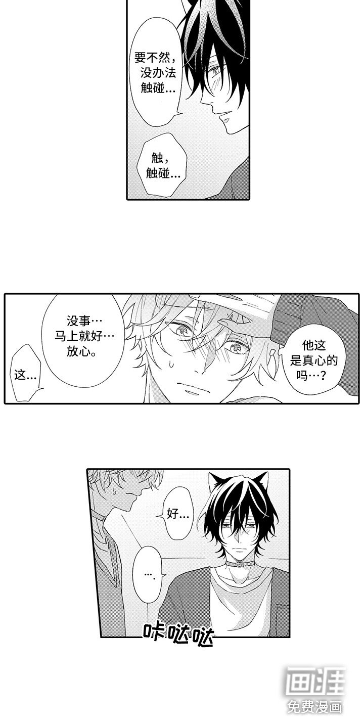 第4章：照顾