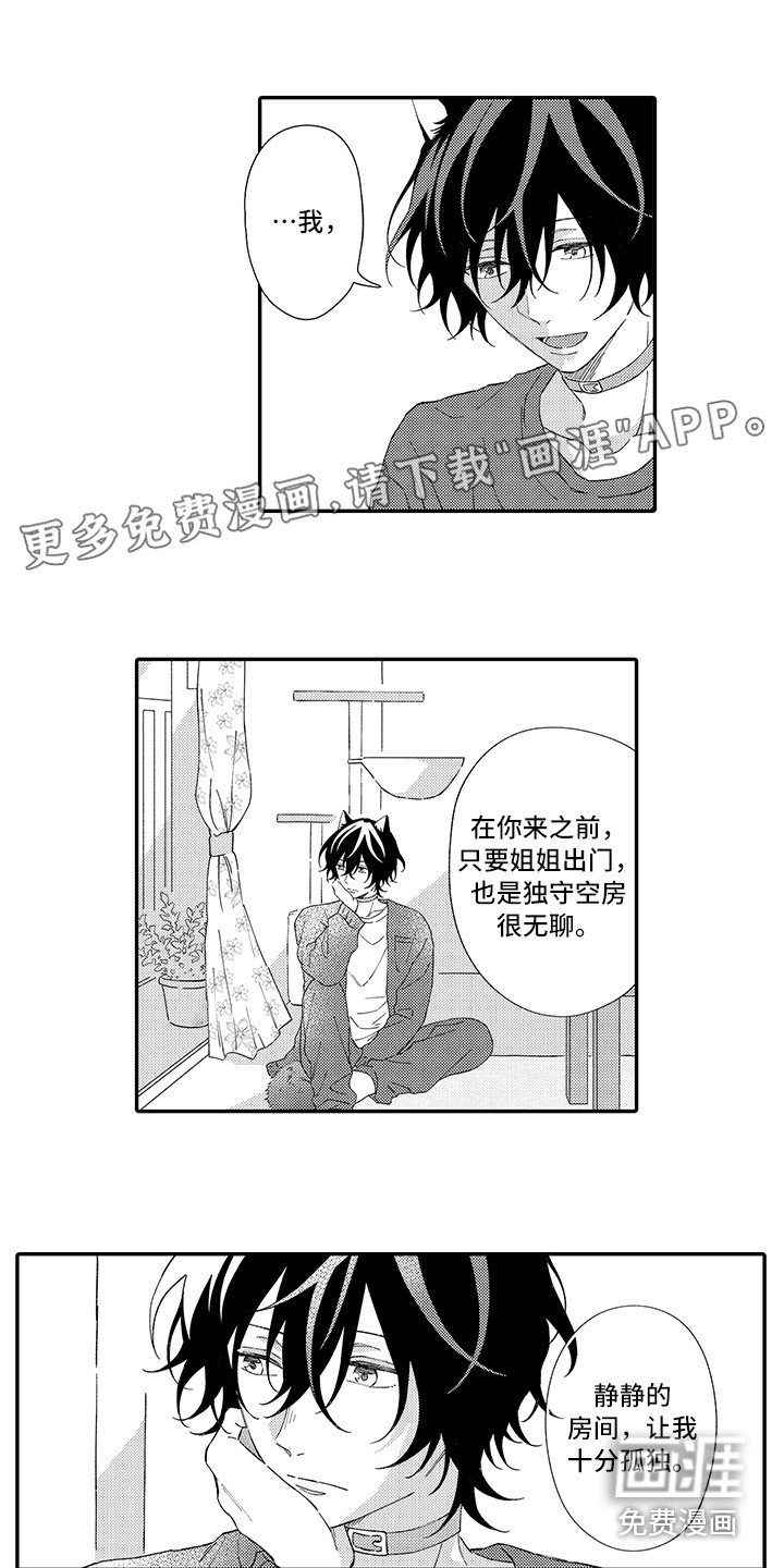 第6章：笑容
