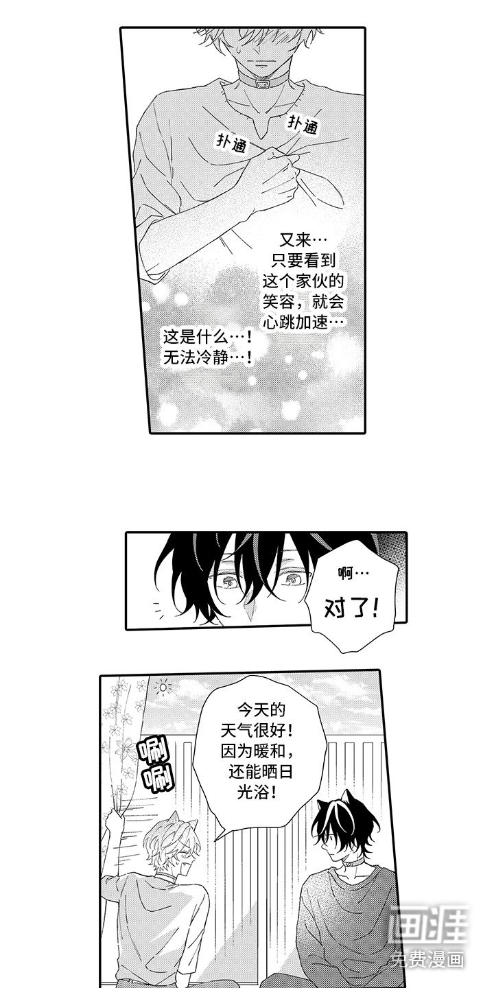 第6章：笑容