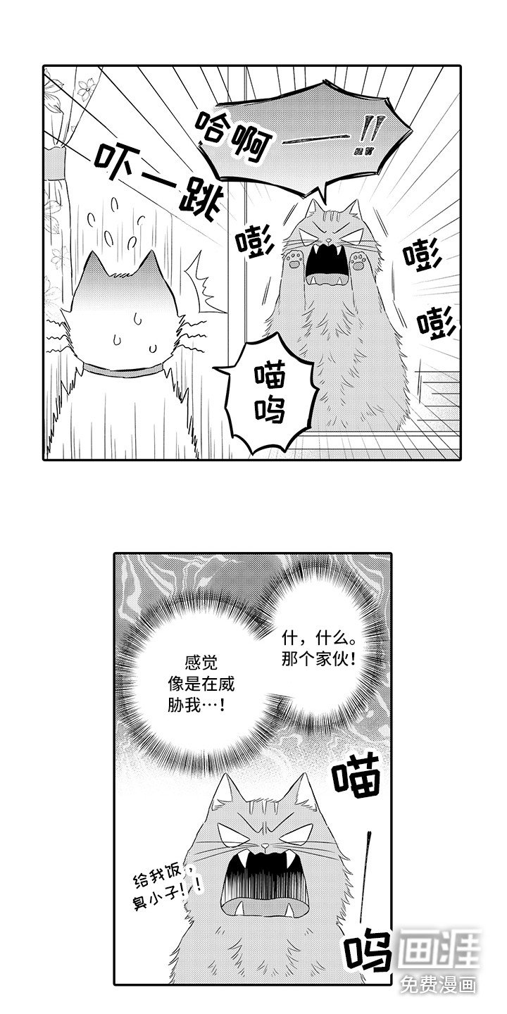 第7章：不再讨厌