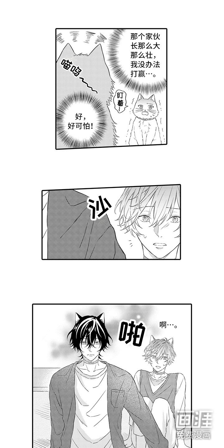 第7章：不再讨厌
