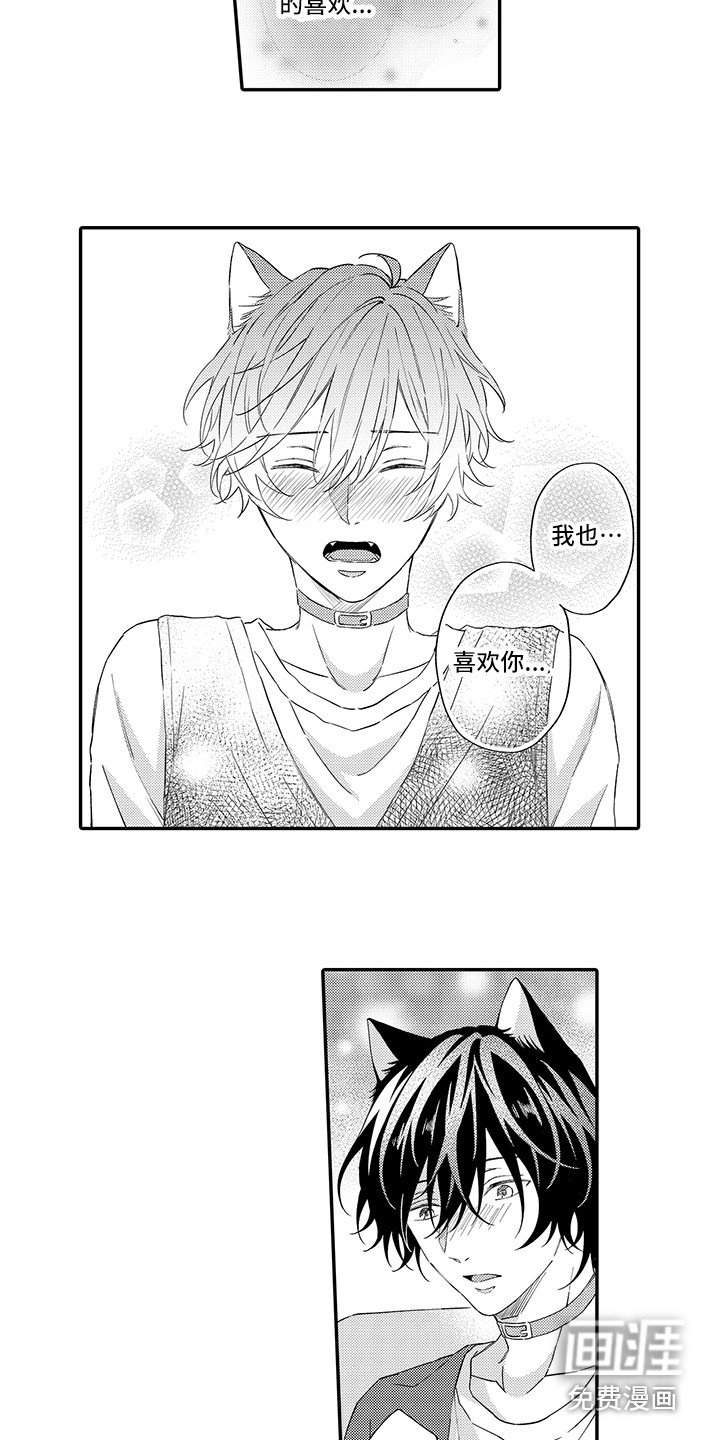 第9章：表白