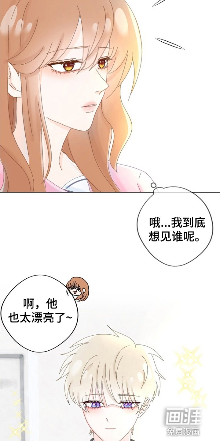 第11章：水果蛋糕