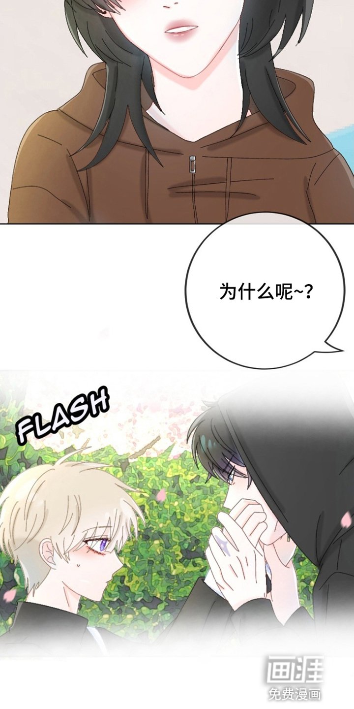 第11章：水果蛋糕