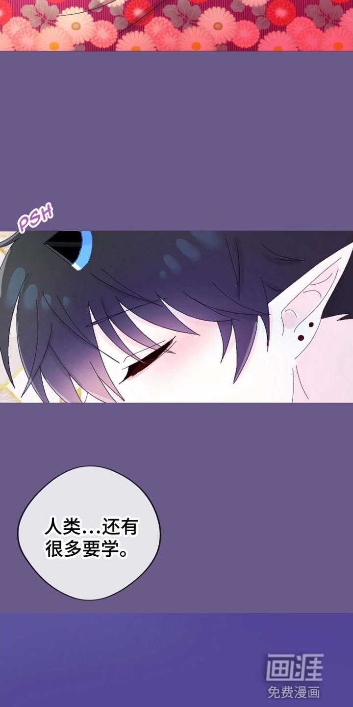 第14章：夜袭