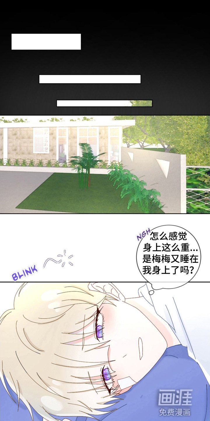 第14章：夜袭