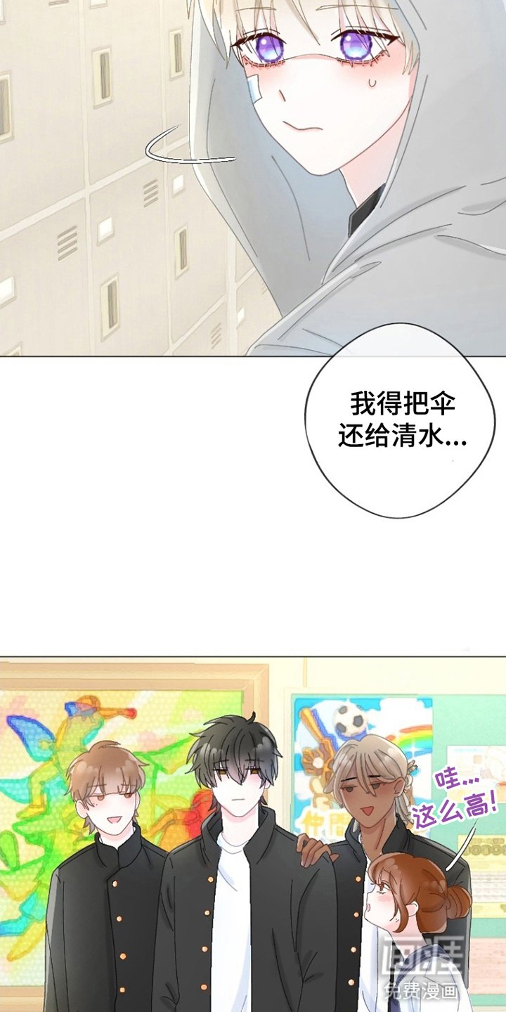 第16章：还伞