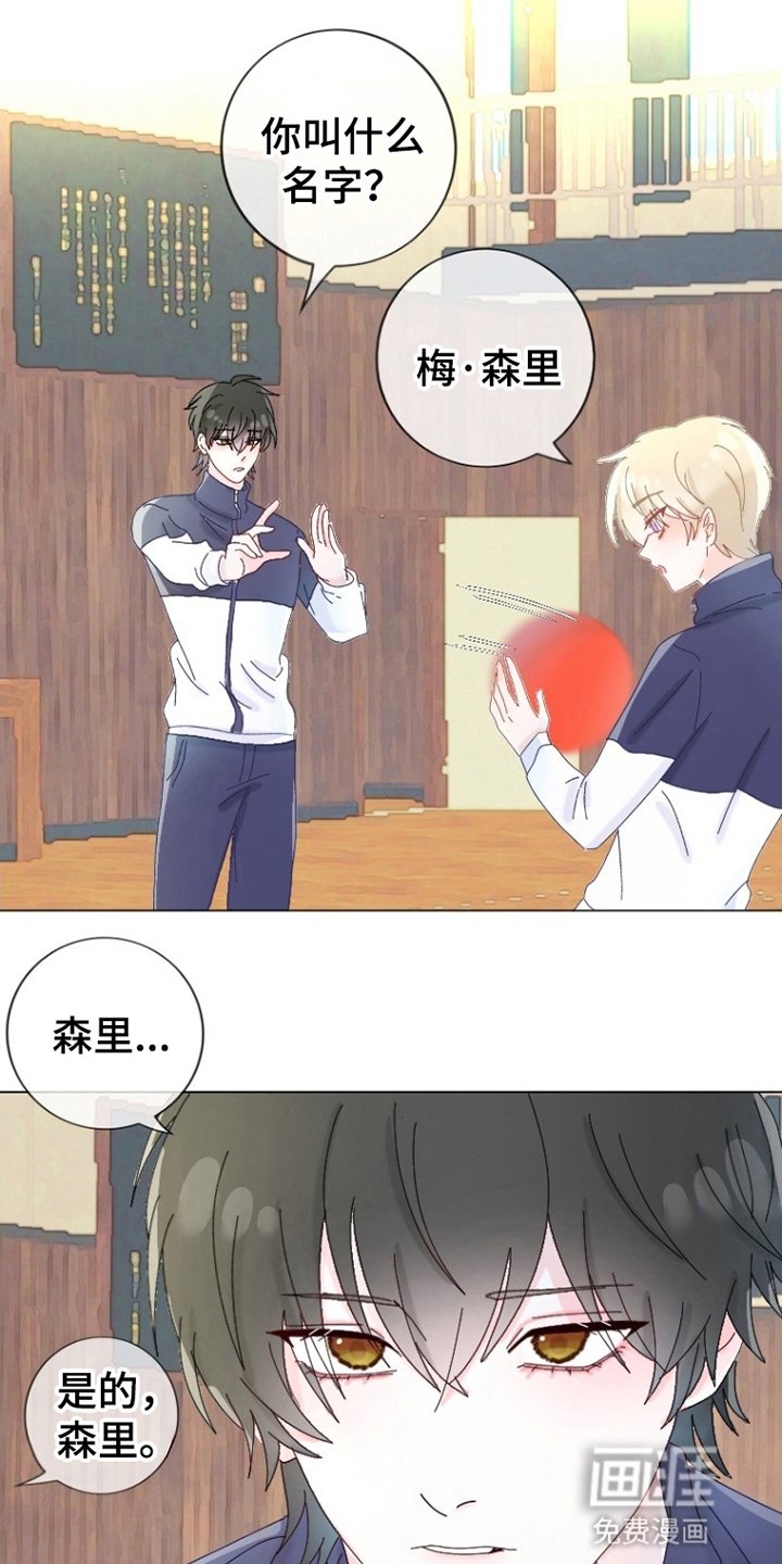 第17章：精准打击