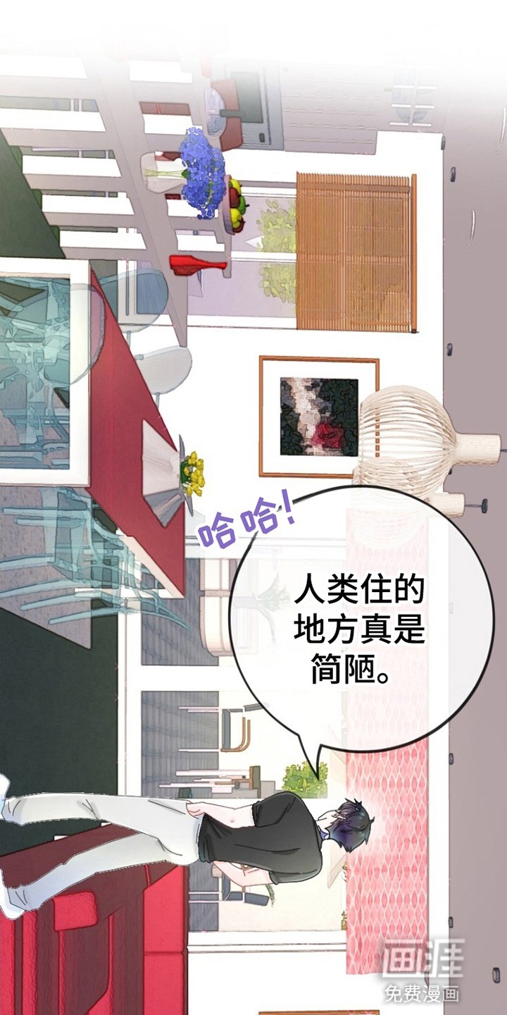 第3章：刺杀失败