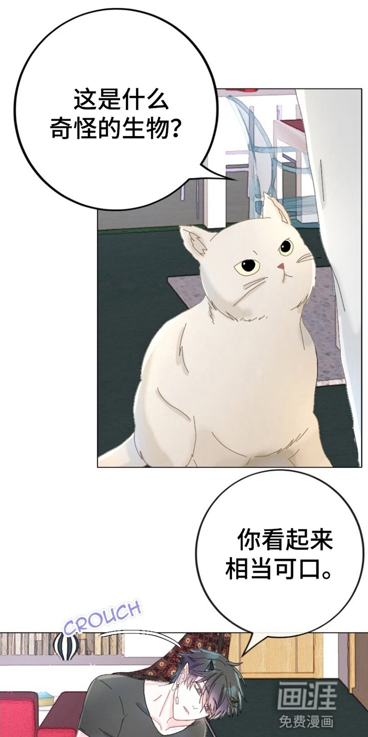 第3章：刺杀失败