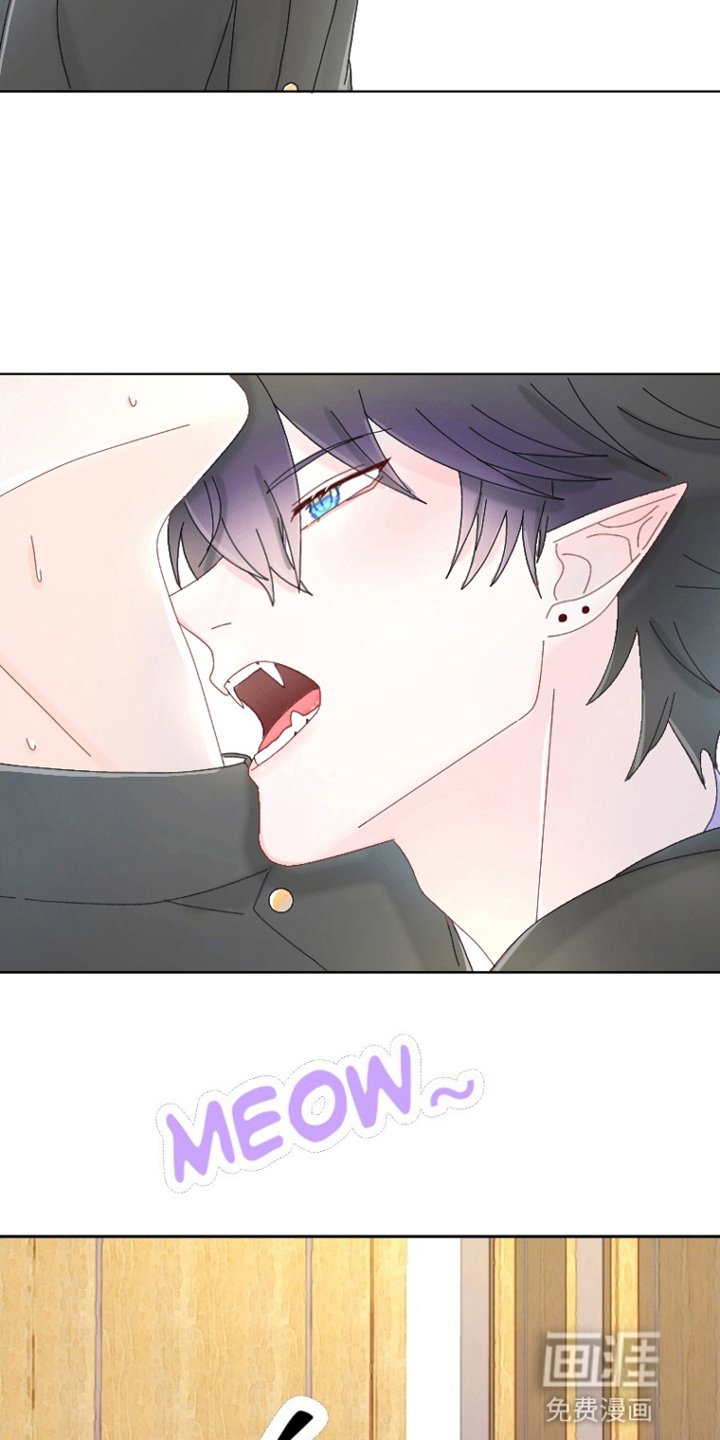 第4章：乖男孩