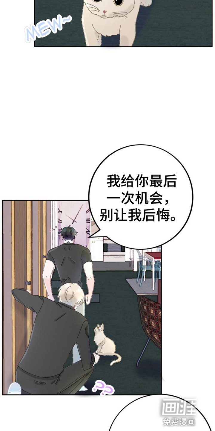 第4章：乖男孩