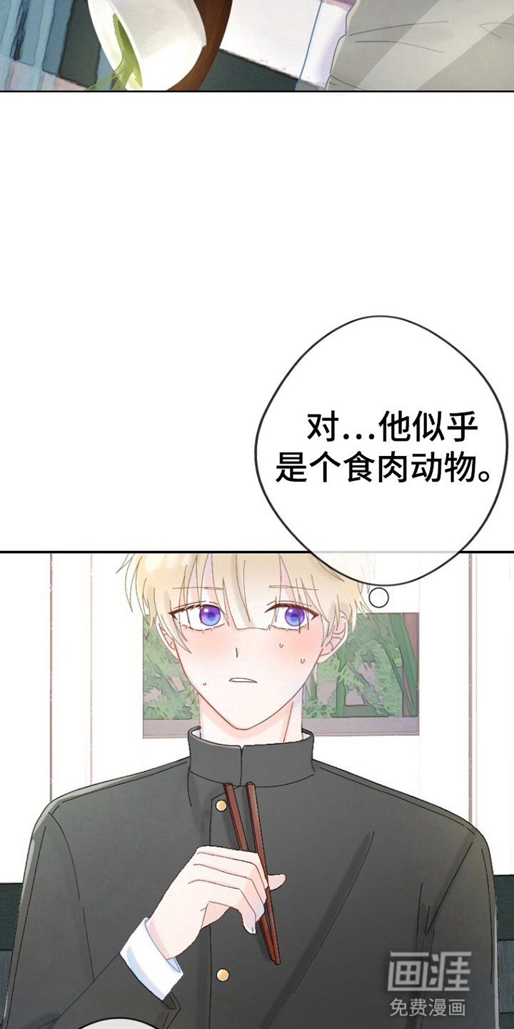 第4章：乖男孩