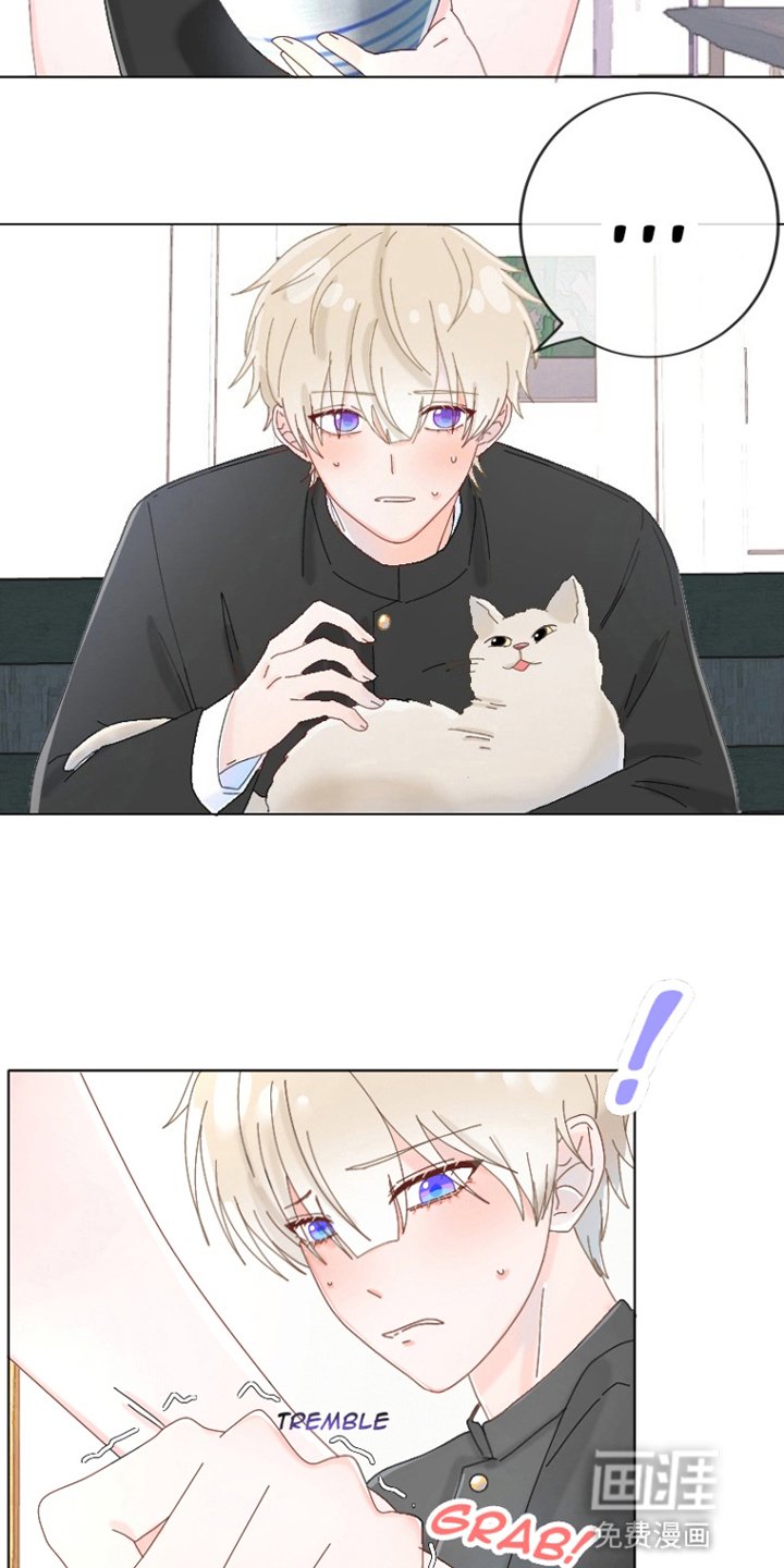 第4章：乖男孩