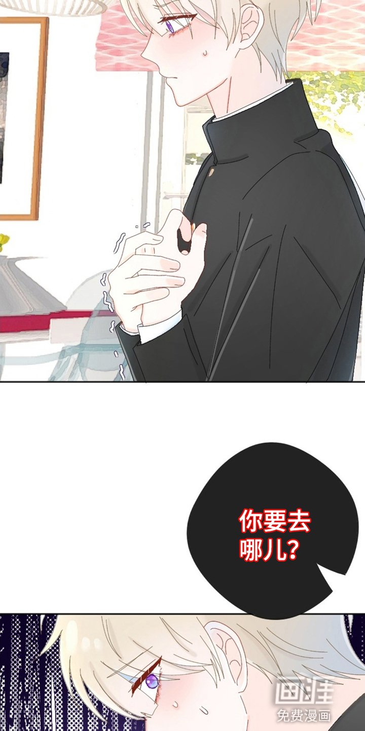 第5章：公主